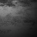 Amisco Azilis Dining Table 50665/25|90554/30 IMAGE 5