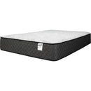  Springwall White Label Medium Firm Tight Top Bed-in-a-Box Mattress (Full) IMAGE 2